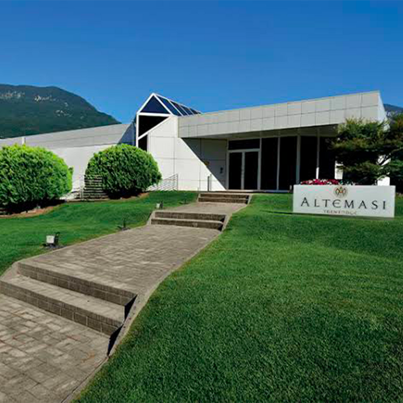 ALTEMASI - foto 1