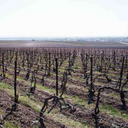 Champagne Arnauld Beaufort Cuvée de Reserve Brut 1er Cru