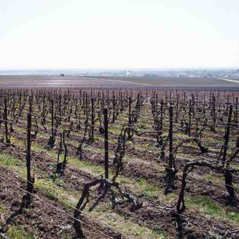 ARNAULD BEAUFORT - foto 3