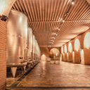 Anselmi San Vincenzo 2025