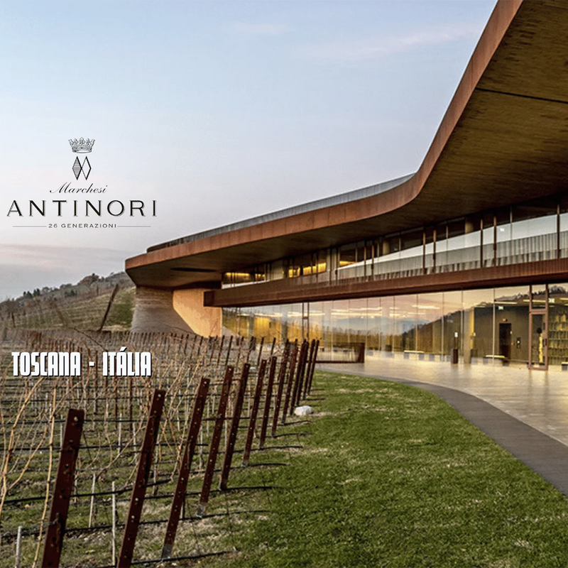 ANTINORI - foto 4