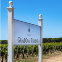 Antinori Tenuta Guado Al Tasso Il Bruciato Bolgheri DOC 2024