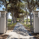 Antinori Tenuta Guado Al Tasso Il Bruciato Bolgheri DOC 2024