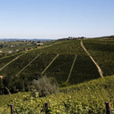 Apeca Alta Langa Euforia Dosaggio Zero 2020