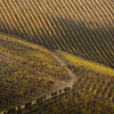 Araldica Cascina Nuova Barbera Nizza Docg 2020