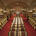 Argentiera Bolgheri Villa Donoratico DOC 2020 Magnum