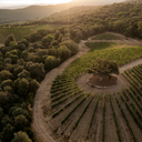 Argentiera Bolgheri Villa Donoratico DOC 2020 Magnum