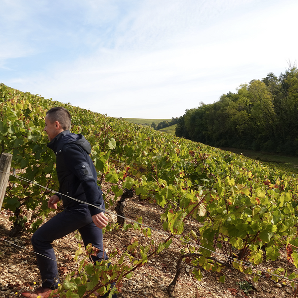 DOMAINE  BAUDOUIN MILLET - foto 1