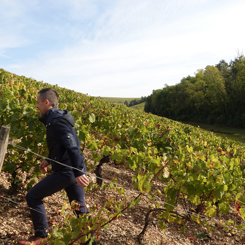 DOMAINE  BAUDOUIN MILLET - foto 1