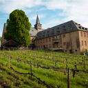 Bischöfliches Weingut Laudate Rüdesheimer Riesling 2023