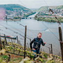 Bischöfliches Weingut Laudate Rüdesheimer Riesling 2023
