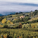 Domini Castellare Di Castellina Chianti Classico DOCG 2023 Magnum