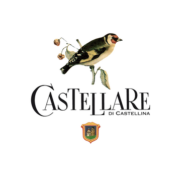 DOMINI CASTELLARE DI CASTELLINA 