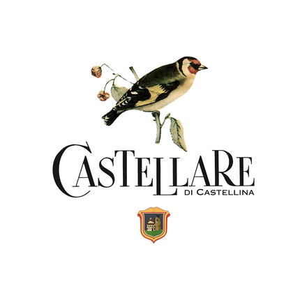 DOMINI CASTELLARE DI CASTELLINA 