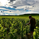 Champagne Larmandier Bernier Le Gros Mont Blanc De Blancs Grand Cru Zero 2016