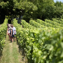 Chateau Puybarbe Le Roc Cotes de Bourg AOC 2020