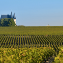 Chateau Puybarbe Le Roc Cotes de Bourg AOC 2020
