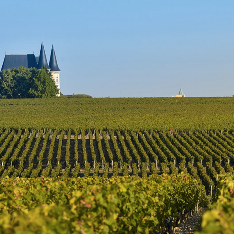 CHATEAU PUYBARBE - foto 4