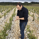 Borgogna Domaine Christophe et Fils Chablis 2023