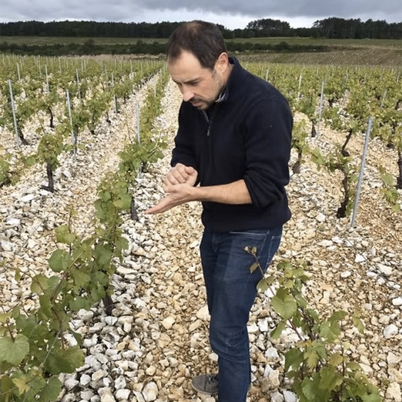 DOMAINE CHRISTOPHE ET FILS - foto 1