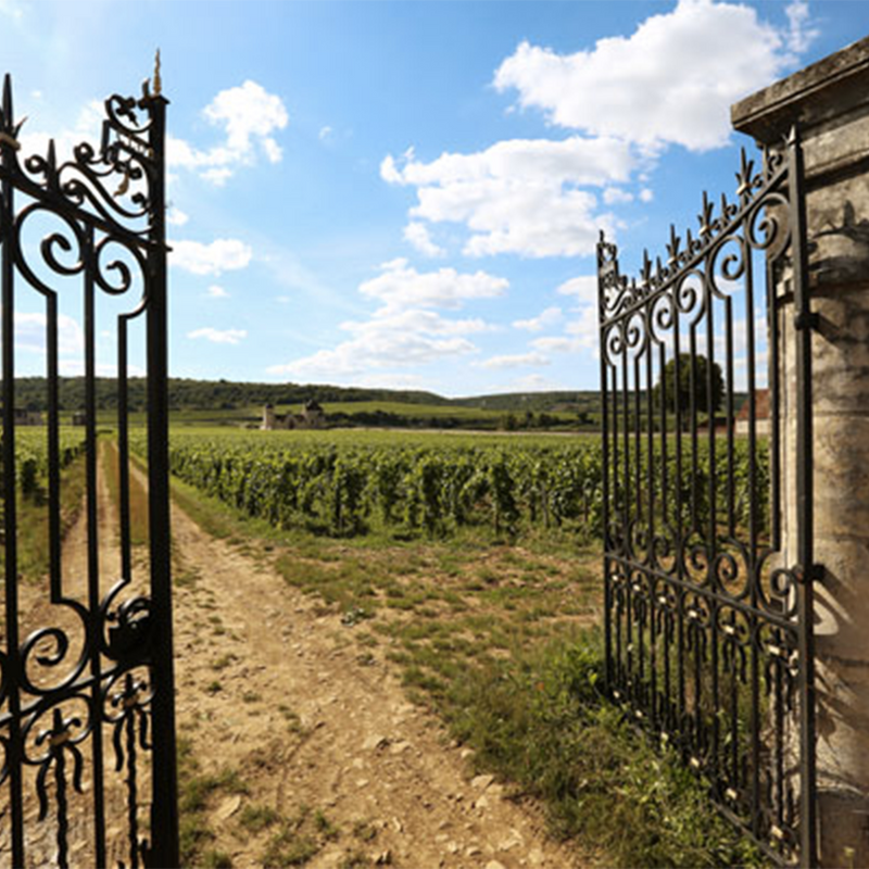 DOMAINE CHRISTOPHE ET FILS - foto 2