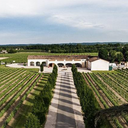 Domaine De Monteils Sauternes Selection 2022