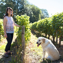 Domaine Jacky Marteau Touraine Sauvignon Loira Aoc 2024