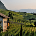 Domaine de la Croisee Eden Pouilly Fumé AOC 2022