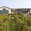 Falesco Chardonnay Tellus 2025