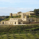 Feudi Del Pisciotto Grillo 2024