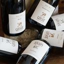 Borgogna Guilhem et Jean Hugues Goisot Pinot Noir Côtes d’Auxerre Rouge La Court Vit 2022