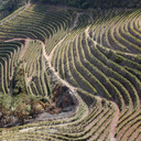Henriques & Henriques Madeira Full Rich 5 Years