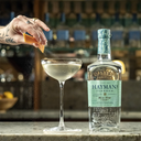 Hayman's Of London Old Tom Gin