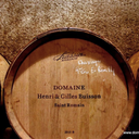 Borgogna Henri & Gilles Buisson Pinot Noir Saint Romain Sous Roche 2022