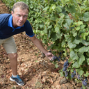 Borgogna Henri Pillot Pinot Noir Nuits Saint Georges 2023