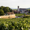 Borgogna Henri Pillot Pinot Noir Nuits Saint Georges 2023
