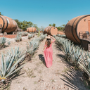 La Cofradia Tequila Reposado