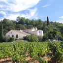 Les Rozallèes Cotes de Provence 2025