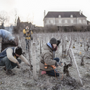 Borgogna Mark Haisma Pinot Noir Gevrey Chambertin 2023