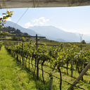 Maso Martis Trento Doc Riserva Dosaggio Zero Bio 2020