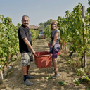 Monchiero Arneis Langhe DOC 2024