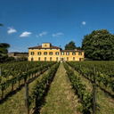 Mosnel Franciacorta Riserva Pas Dosè DOCG 2009 Magnum