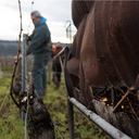 Borgogna Piguet Girardin Pinot Noir Pommard La Chaniere Premier Cru 2021