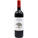 Argentiera Poggio Ai Ginepri 2022