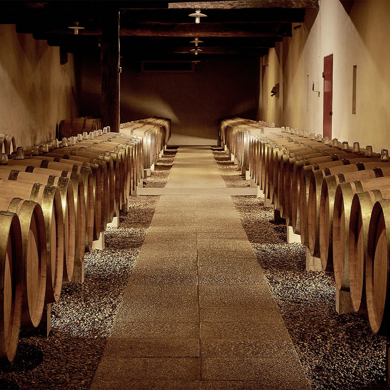 TENUTA MAZZOLINO - foto 3