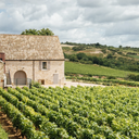 Borgogna Domaine Trapet Rochelandet Gevrey-Chambertin Les Carougeots 2021
