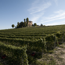 Viberti Filebasse Chardonnay DOC 2025