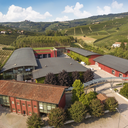 Vite Colte Sauvignon Tra Donne Sole Piemonte DOC 2024