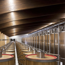 Vite Colte Barolo Paesi Tuoi DOCG 2021