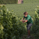 Champagne Waris Larmandier Haute Volée Blanc De Noir Premier Cru Extra Brut